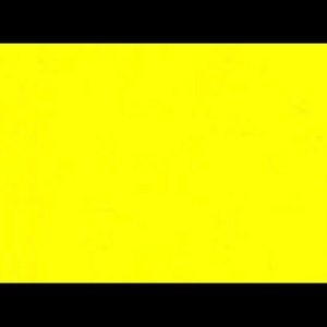 Meet your Posher, Martin